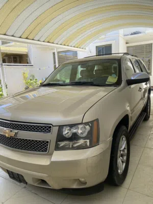 تاهو 2010 LTZ مكفوله