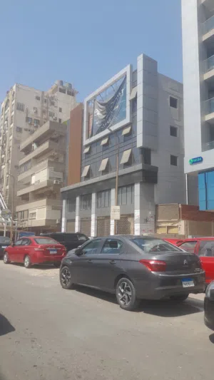 مبنى بالكامل تجارى و ادارى