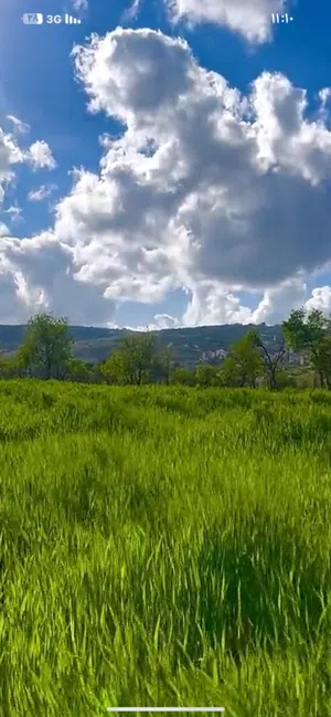 Mixed Use Land for Sale in Hebron Dura