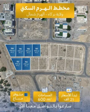 مخطط الهرم شمال