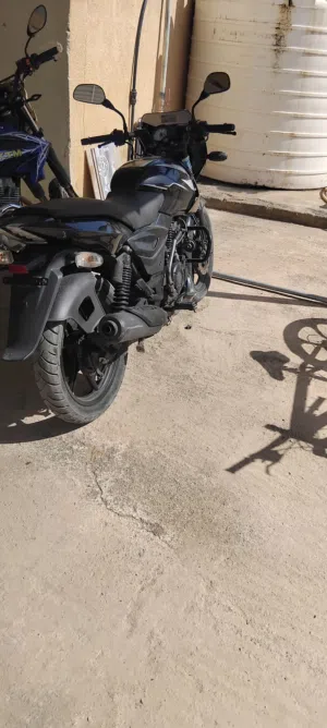 نوع بلسر بجاج