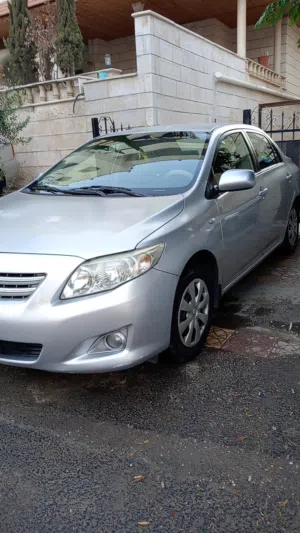 Used Toyota Corolla in Amman