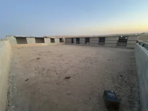 مزرعه للبيع منطقة بريك تبعد عن جسر المطار 21 كيلو باتجاه الجنوب