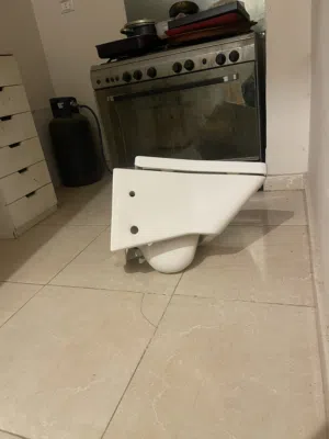 قاعده طايره