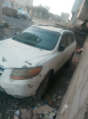 عرطه العرطات زنجبيل بوغباره سندافي كرت
