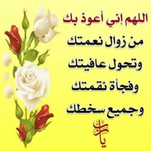 abo zead 