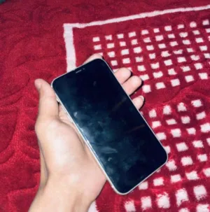 Apple iPhone 11 128 GB in Amman