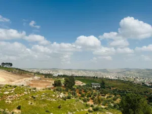 ارض للبيع في جرش ديرليات ميسر ذهبون زقريط مزروعه اشجار زيتون
