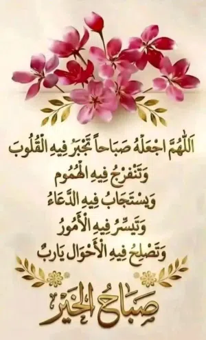 علي 