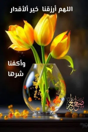 معلمة تأسيس بخبرة 11 سنة جميع المواد من اول لسابع