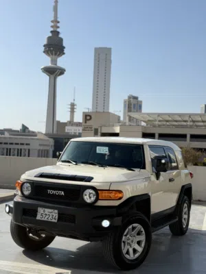 شرط الفحص والنظافه بالكامل