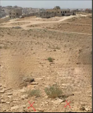 Commercial Land for Sale in Zarqa Al Zarqa Al Jadeedeh
