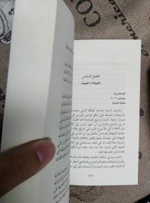 رواية عن السيدة التي سقطت في الحفرة