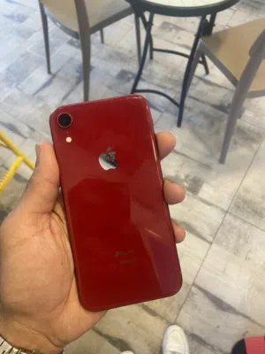 XR جهاز نضيف ربي ييارك