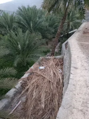 للبيع مزرعه