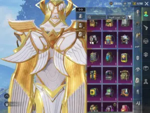 Pubg Accounts and Characters for Sale in Basra