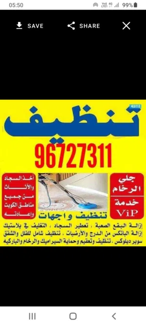 خدمات تنظيف المنازل، الشقق، المطابخ، السجاد، الأرائك، حمامات السباحة، أسطح المنازل