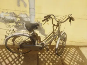 بسكليت للبيع