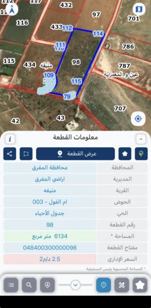 مزرعه للبيع الموقع المفرق / منيفه موقع ممتاز