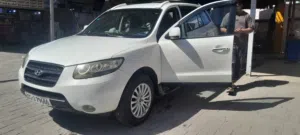 سنتافيا 2009 مصبوغ حزام