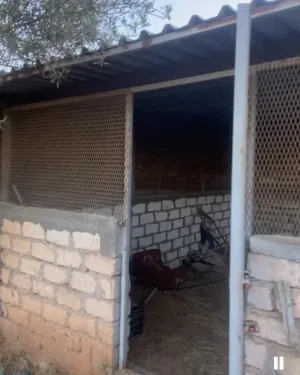 حديد مفصل للزاريب وقواعد تعليق أقفاص أرانب وغطاء زينقو وقربج ألمونيوم  + 5 طوبوات بيادجا