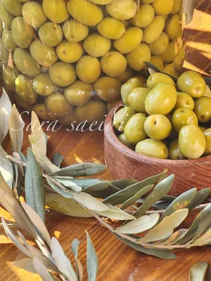 Vegetable & Fruit2