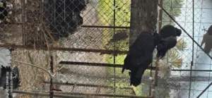 حمام شمسي وحمام  مدينه للبيع تصفيه