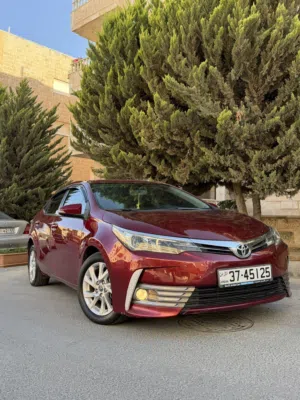 Used Toyota Corolla in Amman