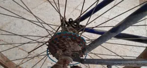 درج مستعبل فيه 6 توروس