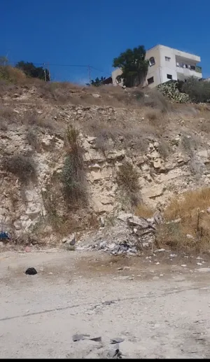 Commercial . 380 m2 . Landlord2