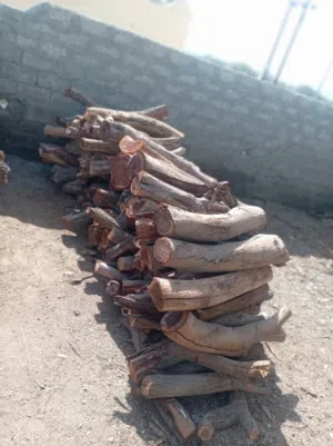 حطب سمر نظيف مرتب