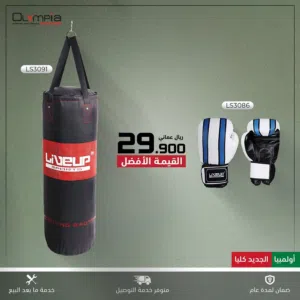 كيس الملاكمة
