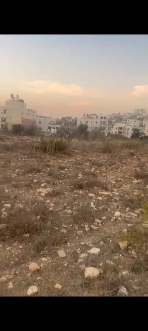 ارض للبيع في منطقه بيرزيت مساحه 6دونم كوشان طابو تصنيف الف