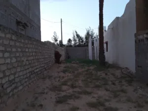 منزل اللبيع