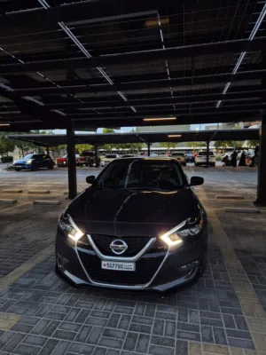 Maxima 2016