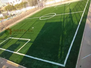 ملاعب كرة قدم بالعشب الصناعي