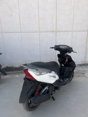 Gtr ماكس ثعلب للبيع عداد 140