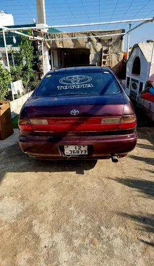 Used Toyota Corolla in Ramtha