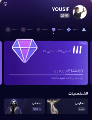 حساب تيك توك لفل 29