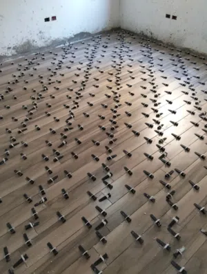 أبحث عن تاشيره للملكه والشغل بالراتب  أو بالنسبه