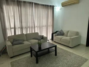 carpet (rug) for sale