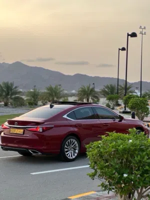 Used Lexus ES in Al Batinah