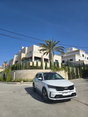 sorento 23-24 plug in Hyprid.