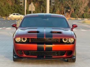DOGE CHALLENGER
