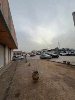 ارض وهنقر ايجار واستثمار ف جزيرة النصب التذكري ع الرئيسي