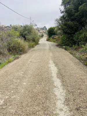 Farm Land for Sale in Salt Um Jozeh