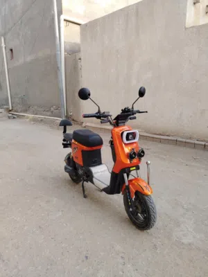 دراجة شحن R9