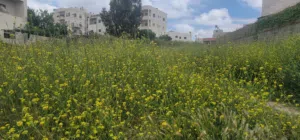 Residential Land for Sale in Amman Abu Al-Sous