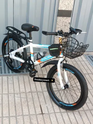 VTT ITALIANO 20 Pouces