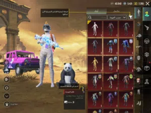 Pubg Accounts and Characters for Sale in Basra